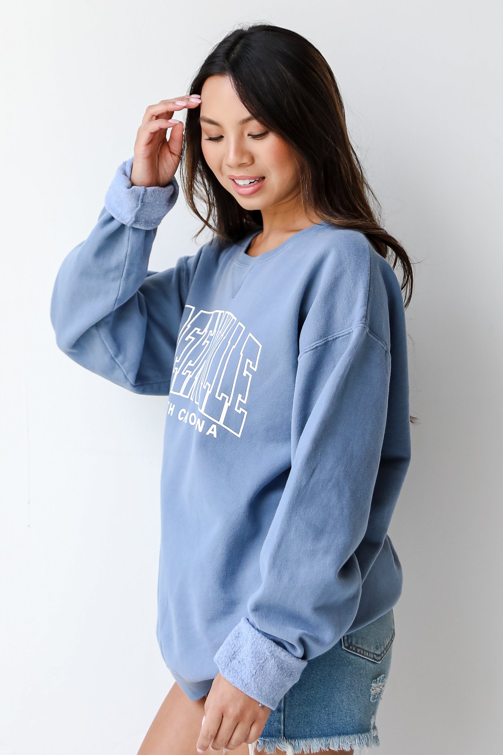 Light Blue Greenville South Carolina Sweatshirt