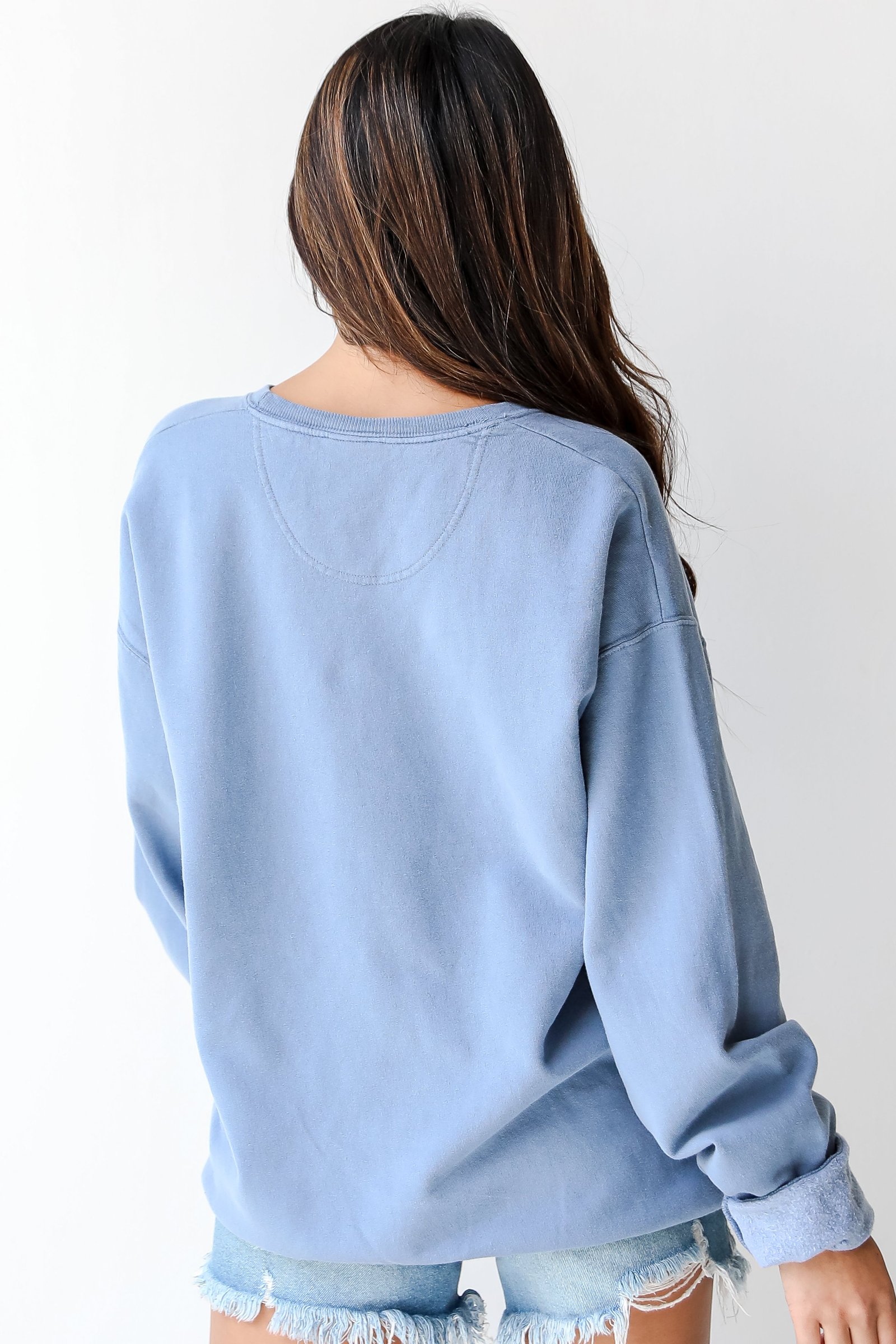 Light Blue Greenville South Carolina Sweatshirt